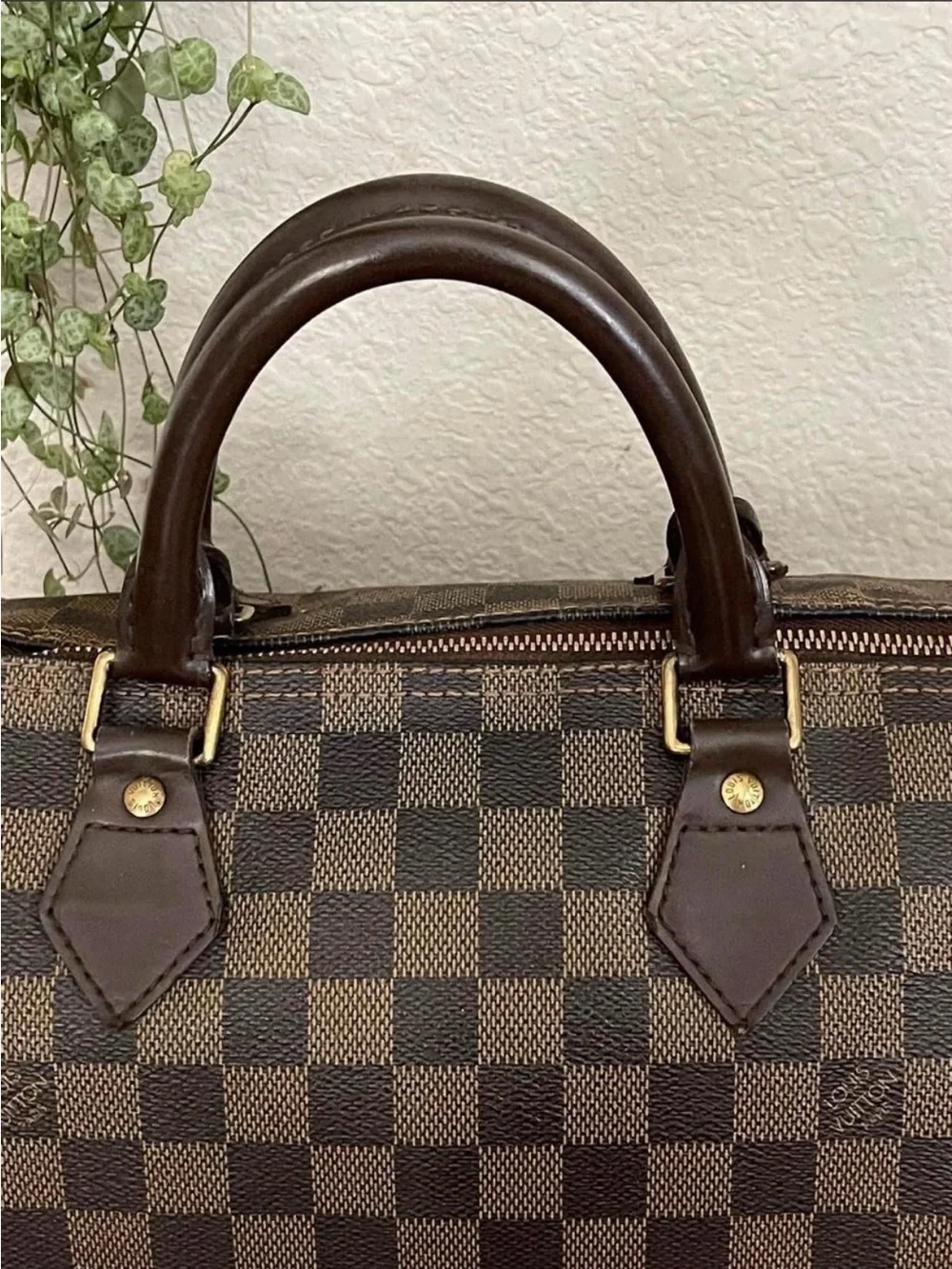 Louis Vuitton Damier Ebene Speedy 30